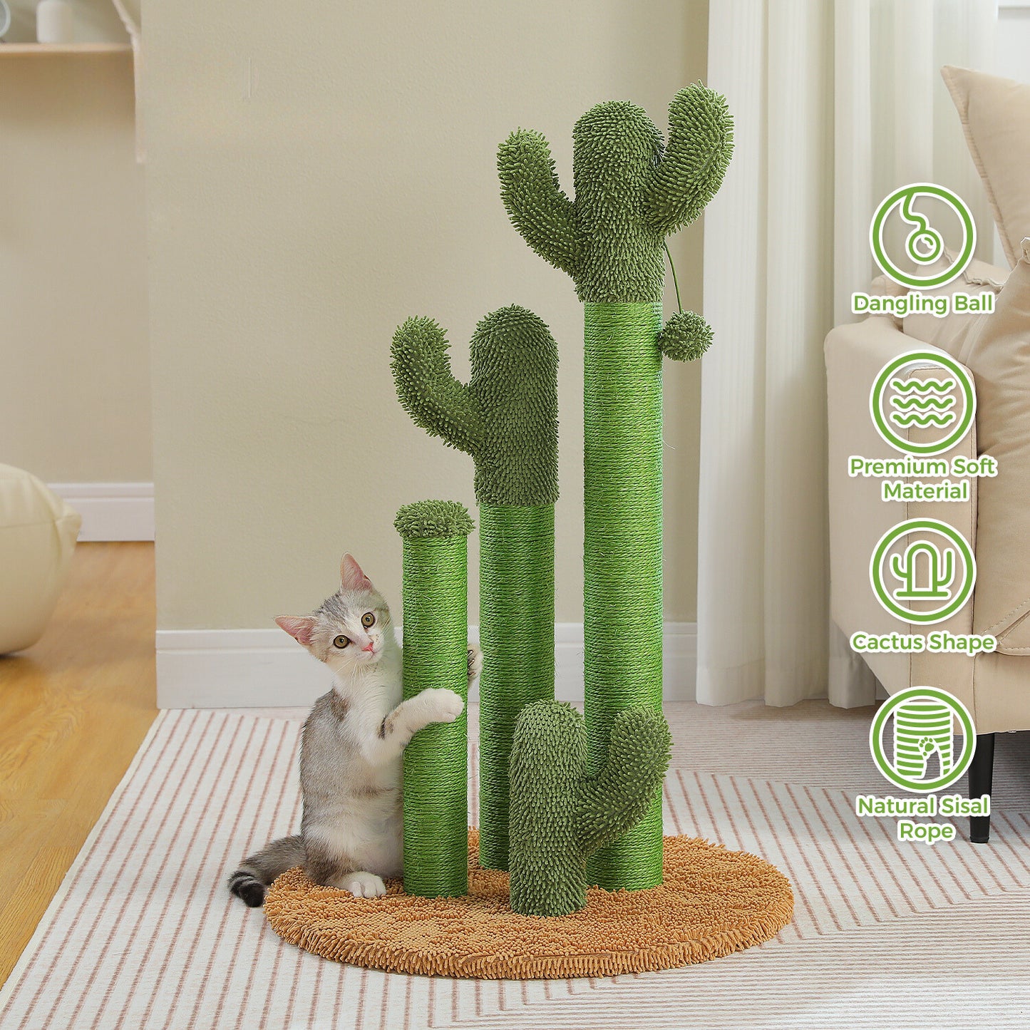 The ScratchingCactus 2.0
