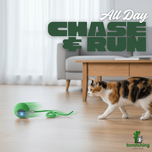 Smart Interactive Cat Ball β Rechargeable Motion Toy for Endless Play