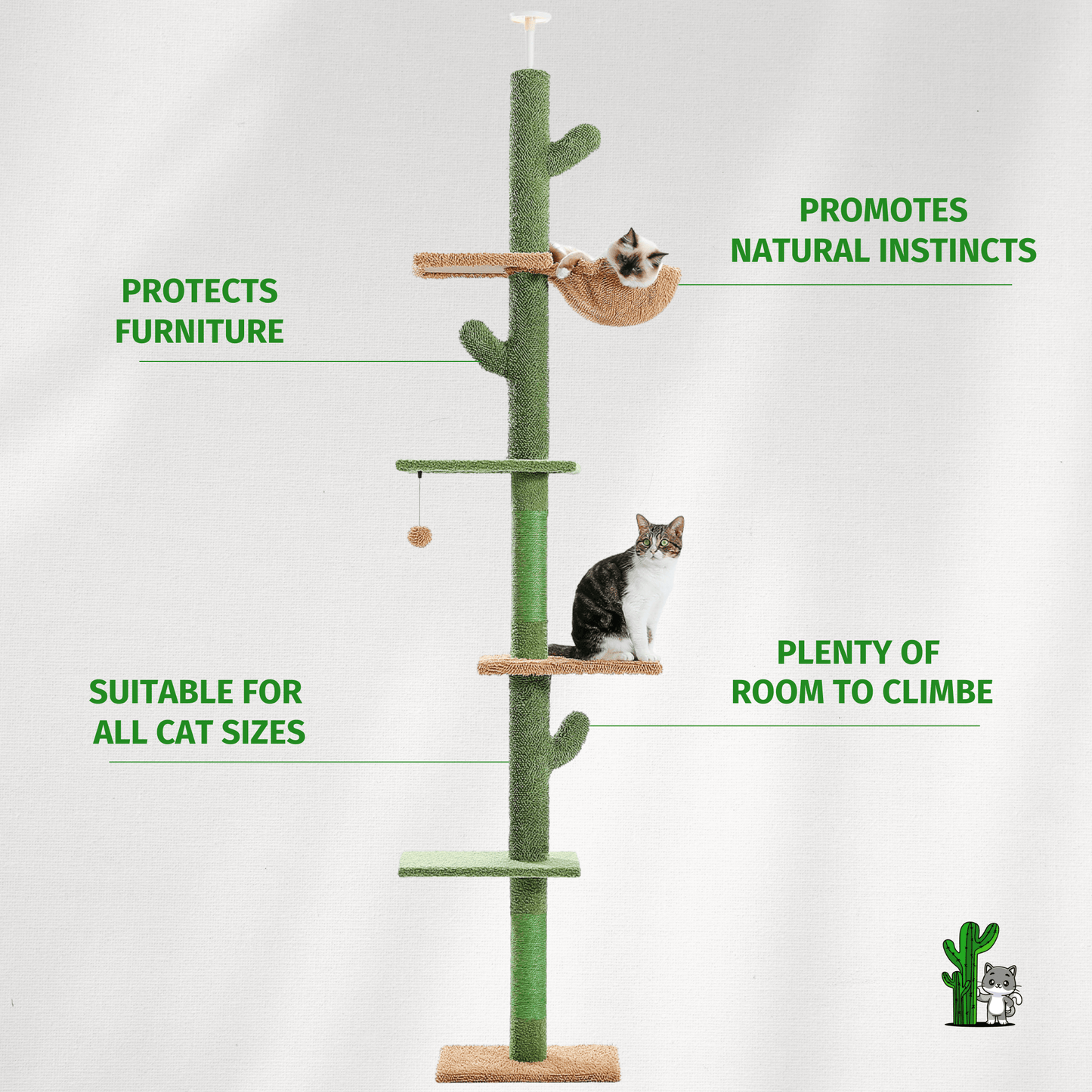 The ScratchingCactus Climbing Pole