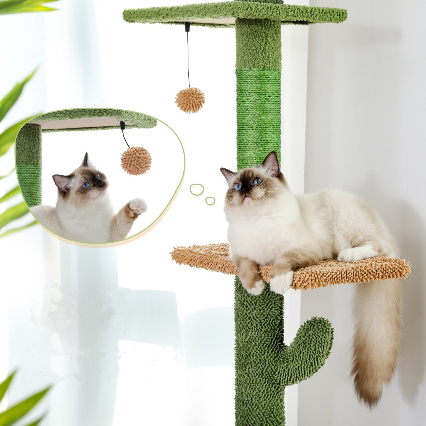 The ScratchingCactus Climbing Pole