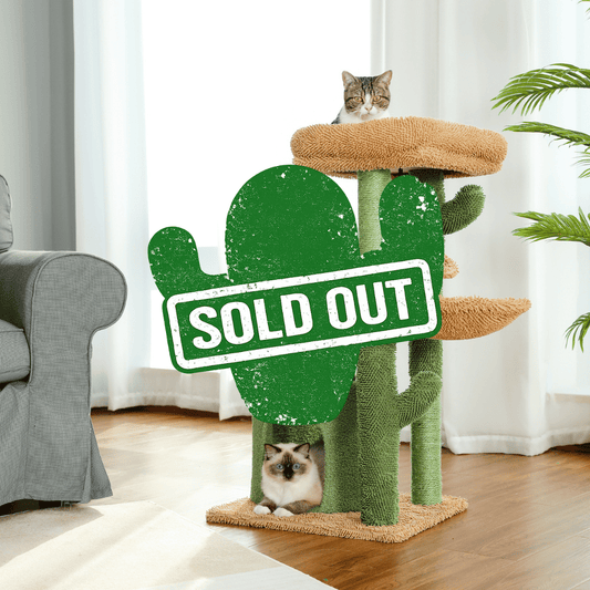 The Scratching Cactus XXL