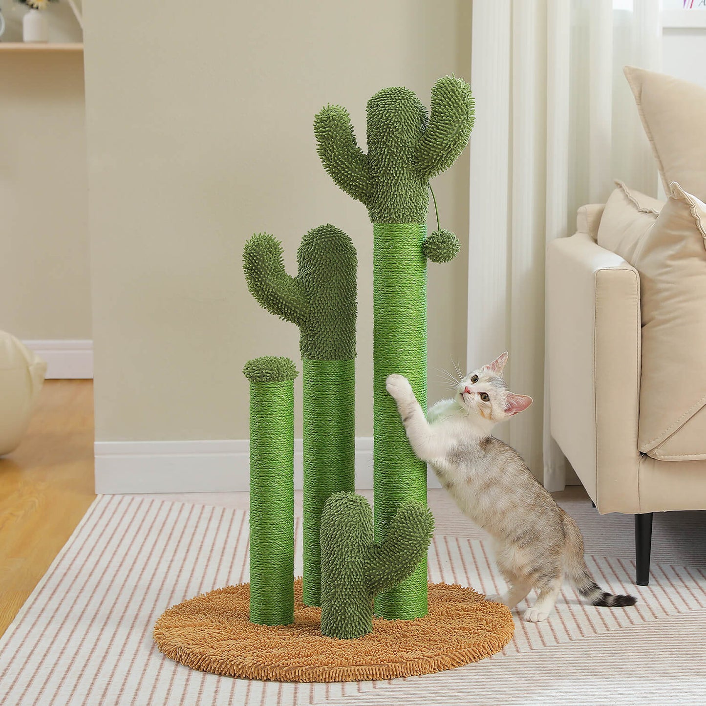 The ScratchingCactus 2.0