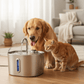 Vet-Approved Stainless Steel Cat Water Fountain – 74oz Filtered Pet Hydration Dispenser