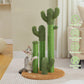 The ScratchingCactus 2.0