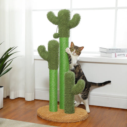 The Scratching Cactus