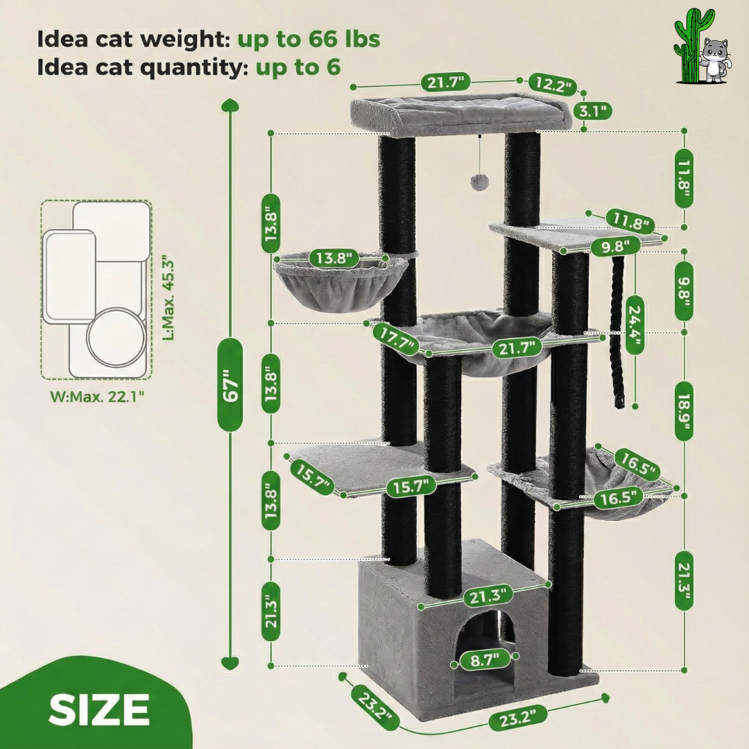 ScratchingCactus VITA
