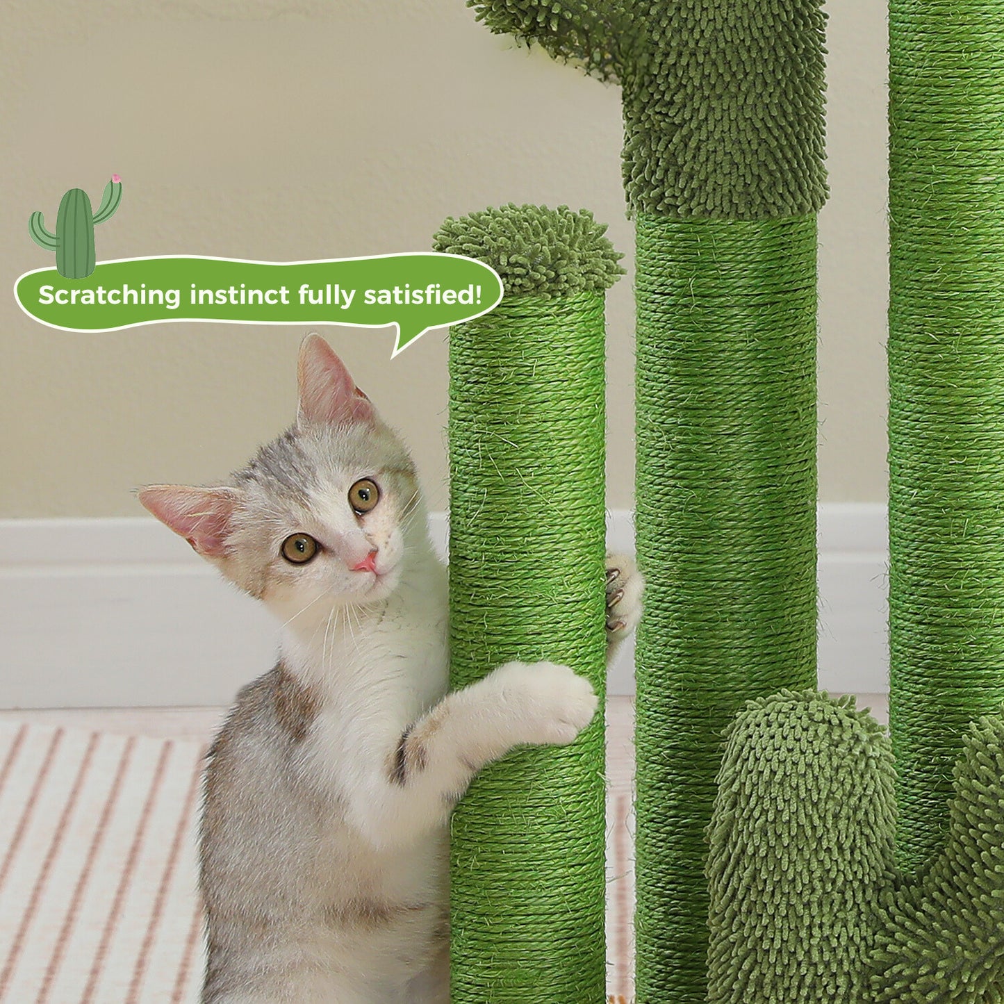 The ScratchingCactus 2.0