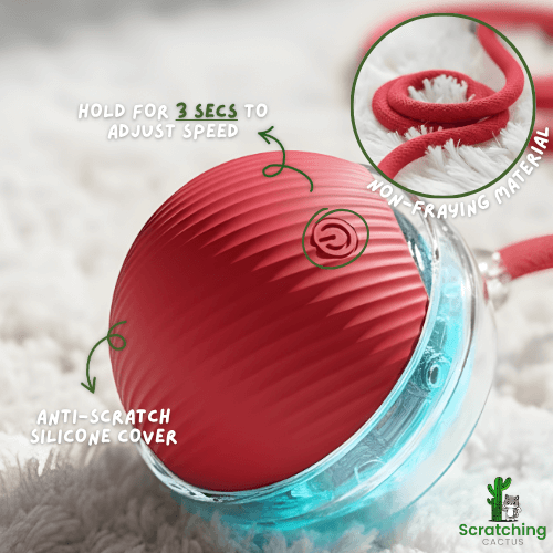 Smart Interactive Cat Ball – Rechargeable Motion Toy for Endless Play