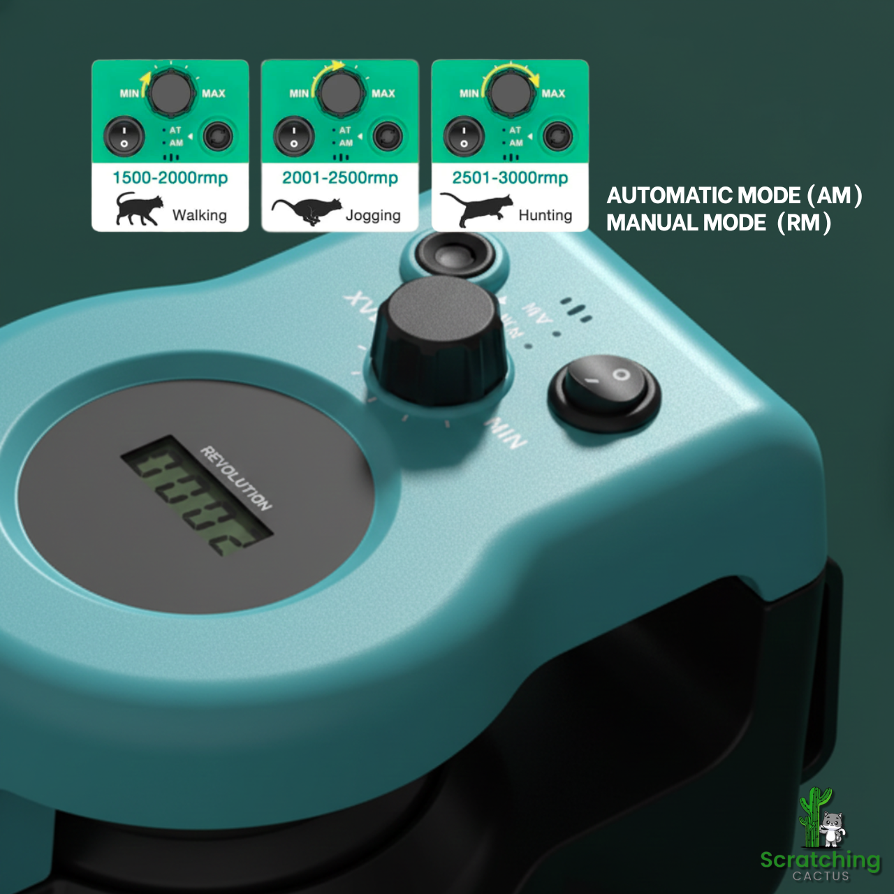 Interactive Cat Exercise Wheel & Feather Teaser Treadmill – Adjustable Speed