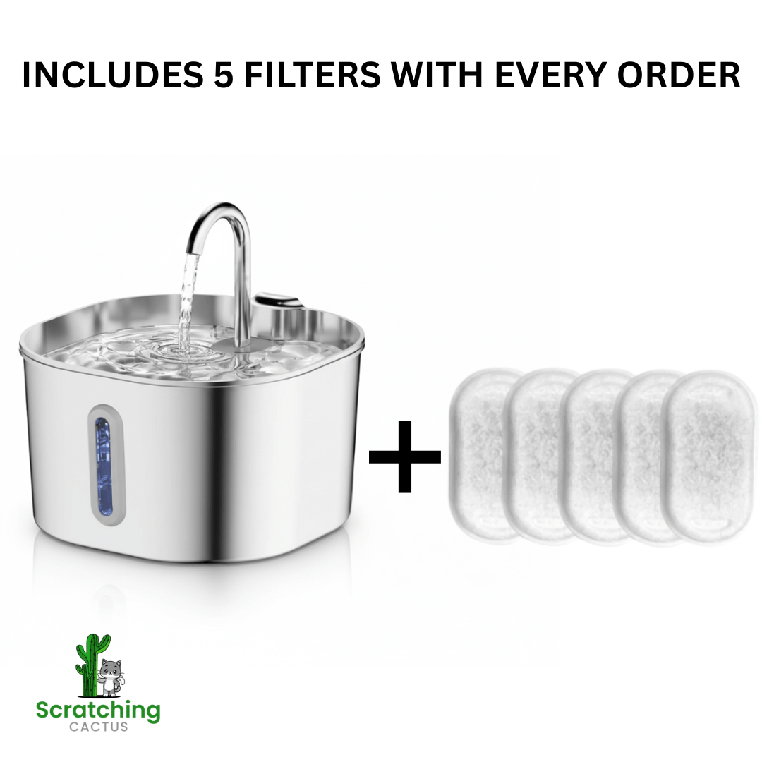 Vet-Approved Stainless Steel Cat Water Fountain – 74oz Filtered Pet Hydration Dispenser