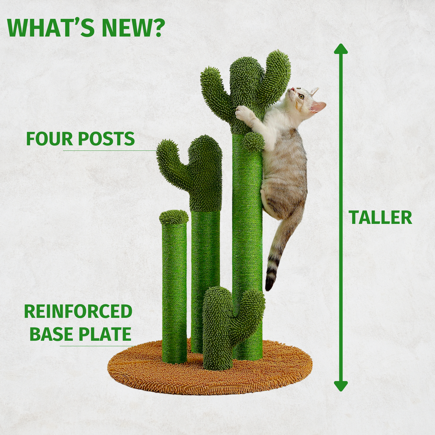 The ScratchingCactus 2.0