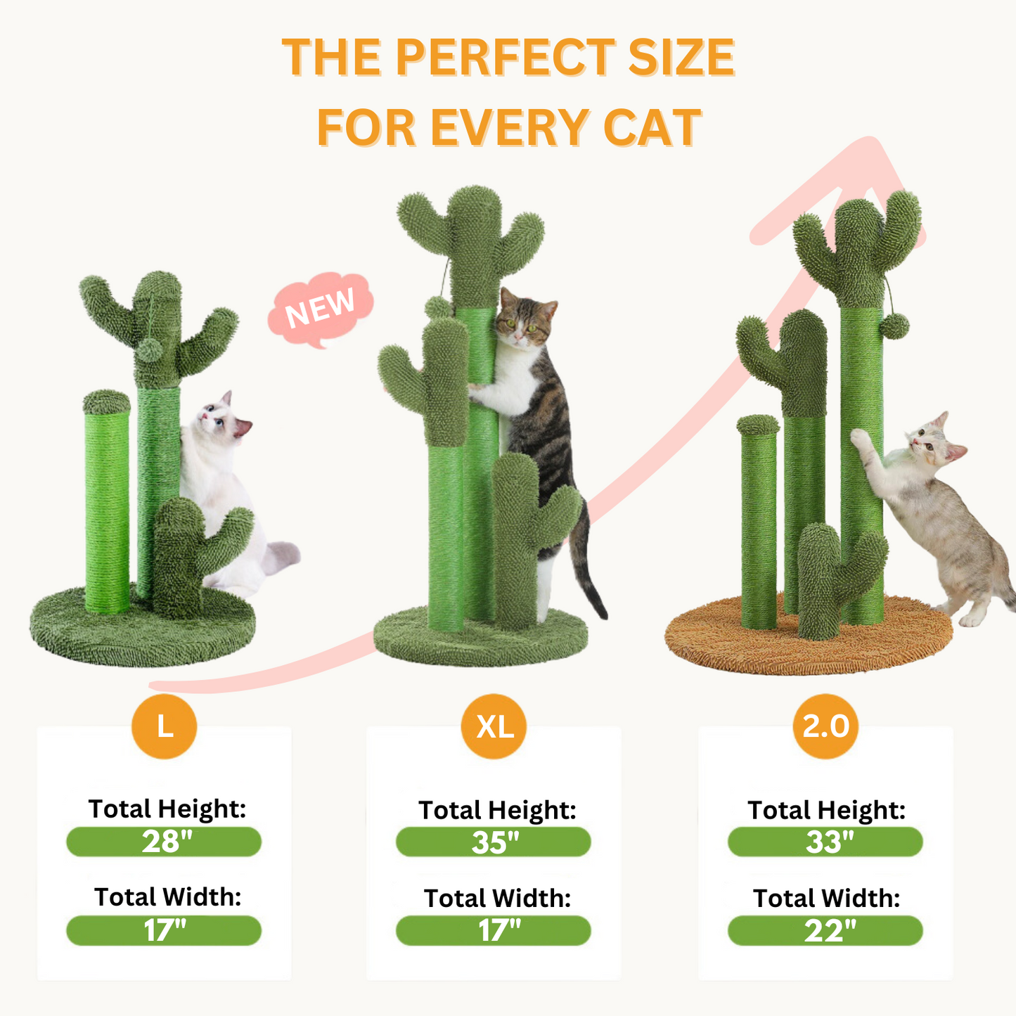 The Scratching Cactus