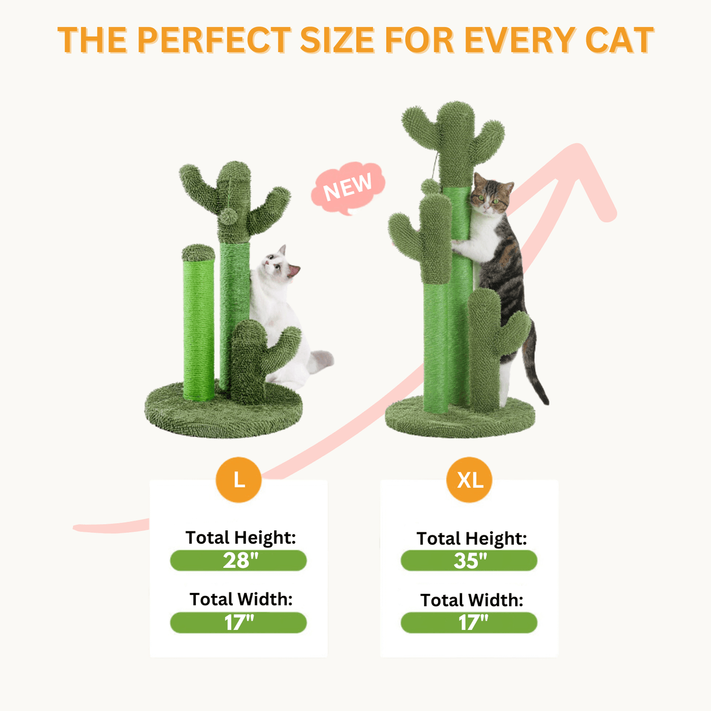 The Scratching Cactus