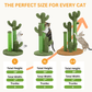 The Scratching Cactus