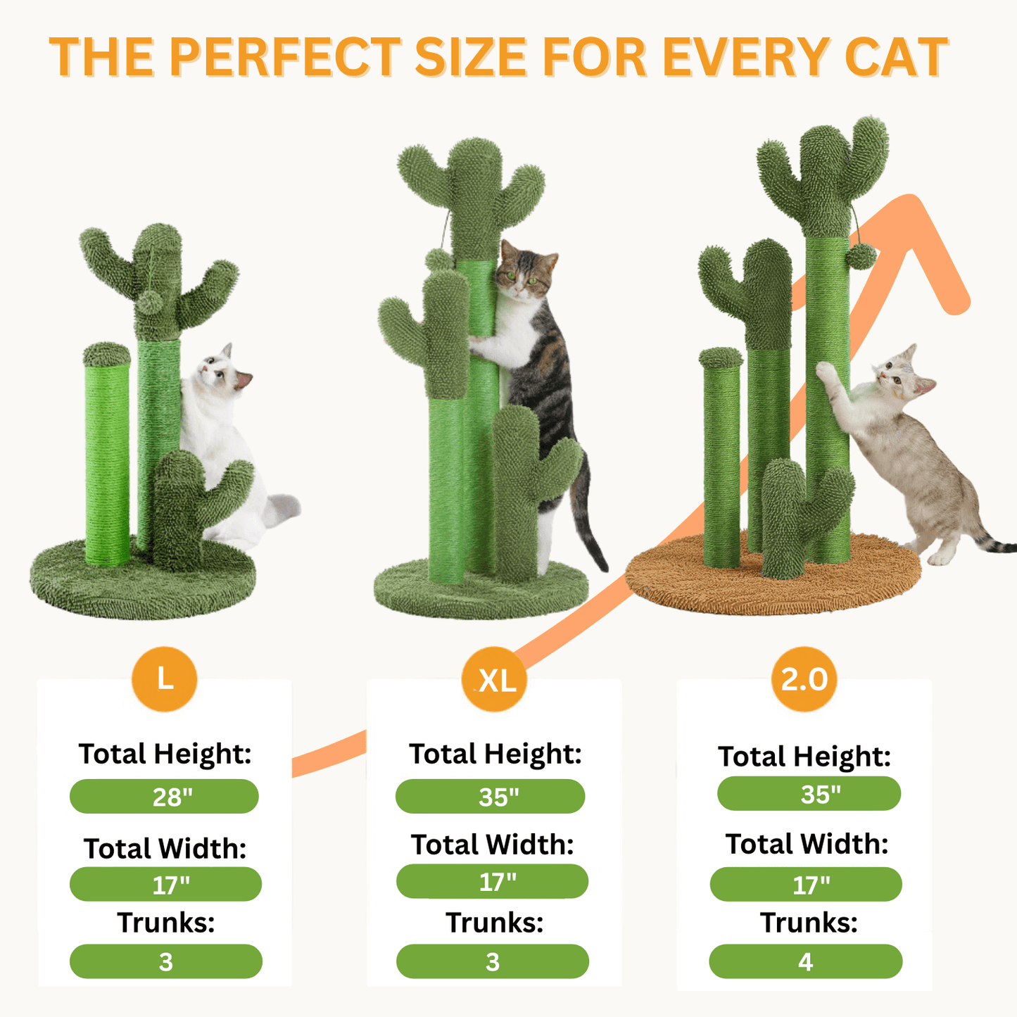 The Scratching Cactus