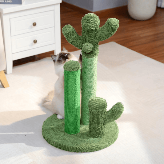 The Scratching Cactus
