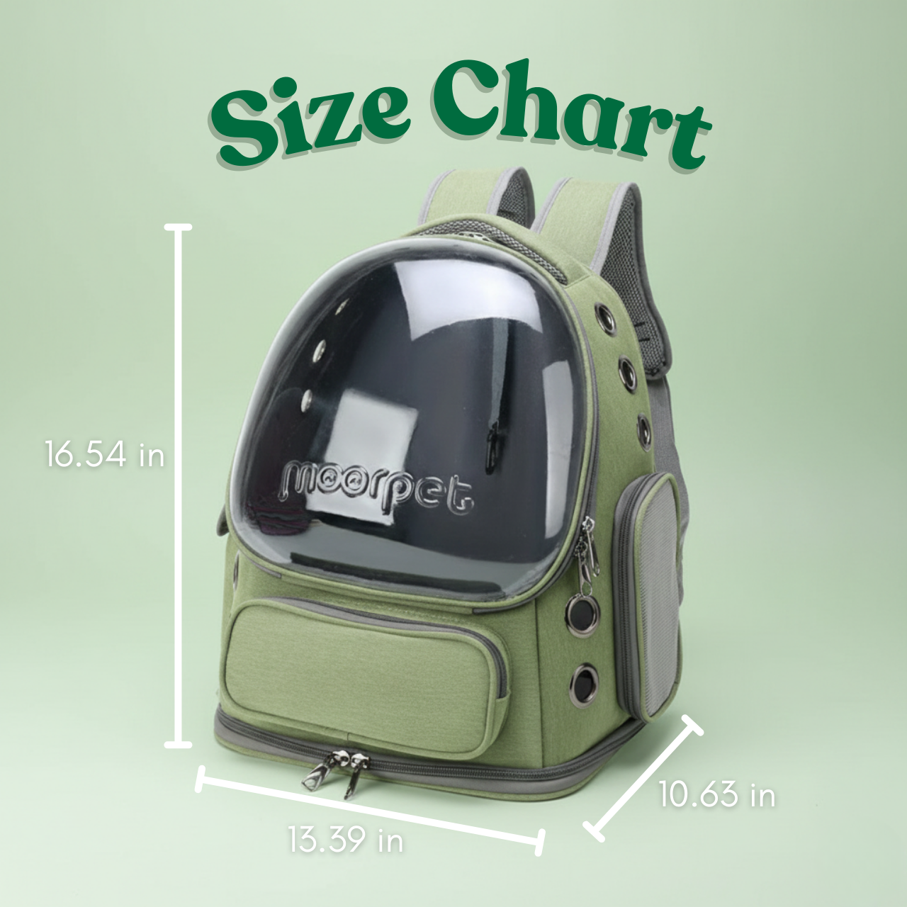 Transparent Pet Carrier Backpack & Travel Bag for Cats & Small Dogs