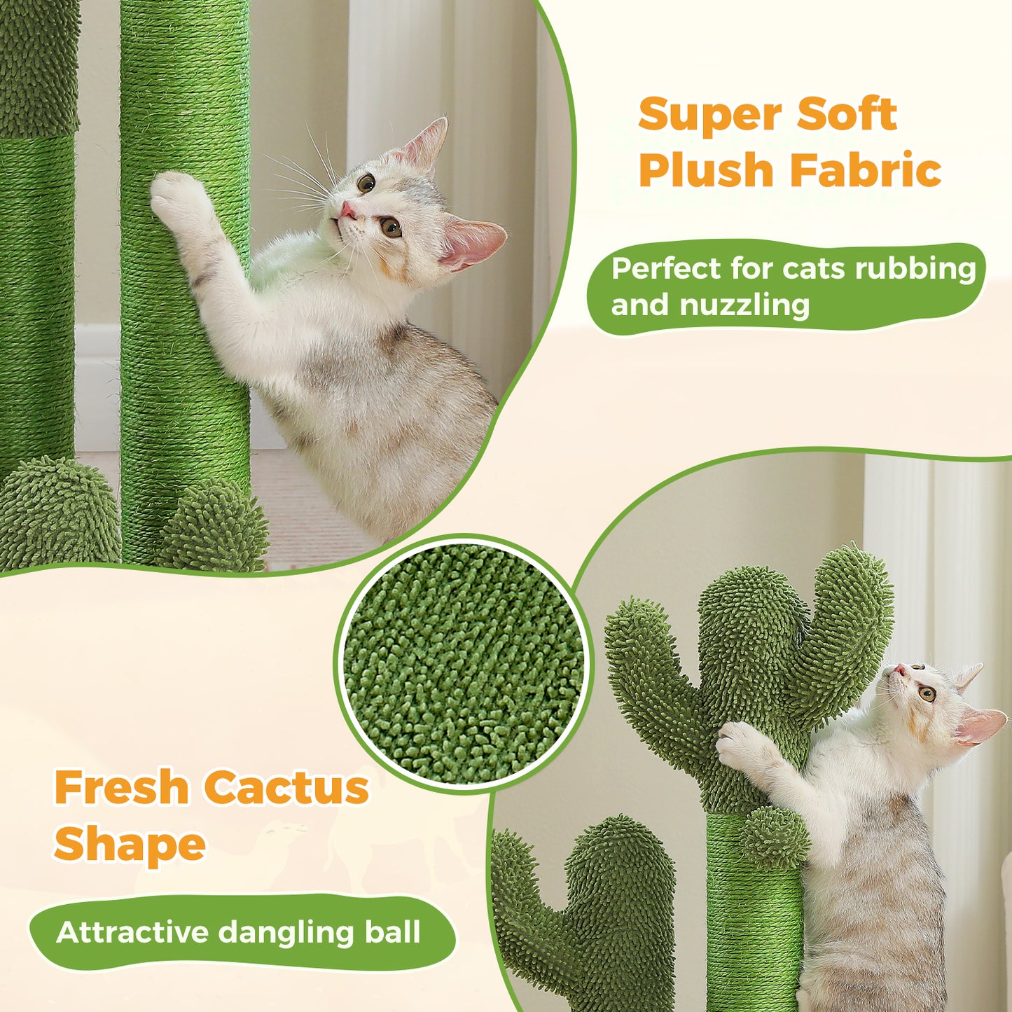 The ScratchingCactus 2.0